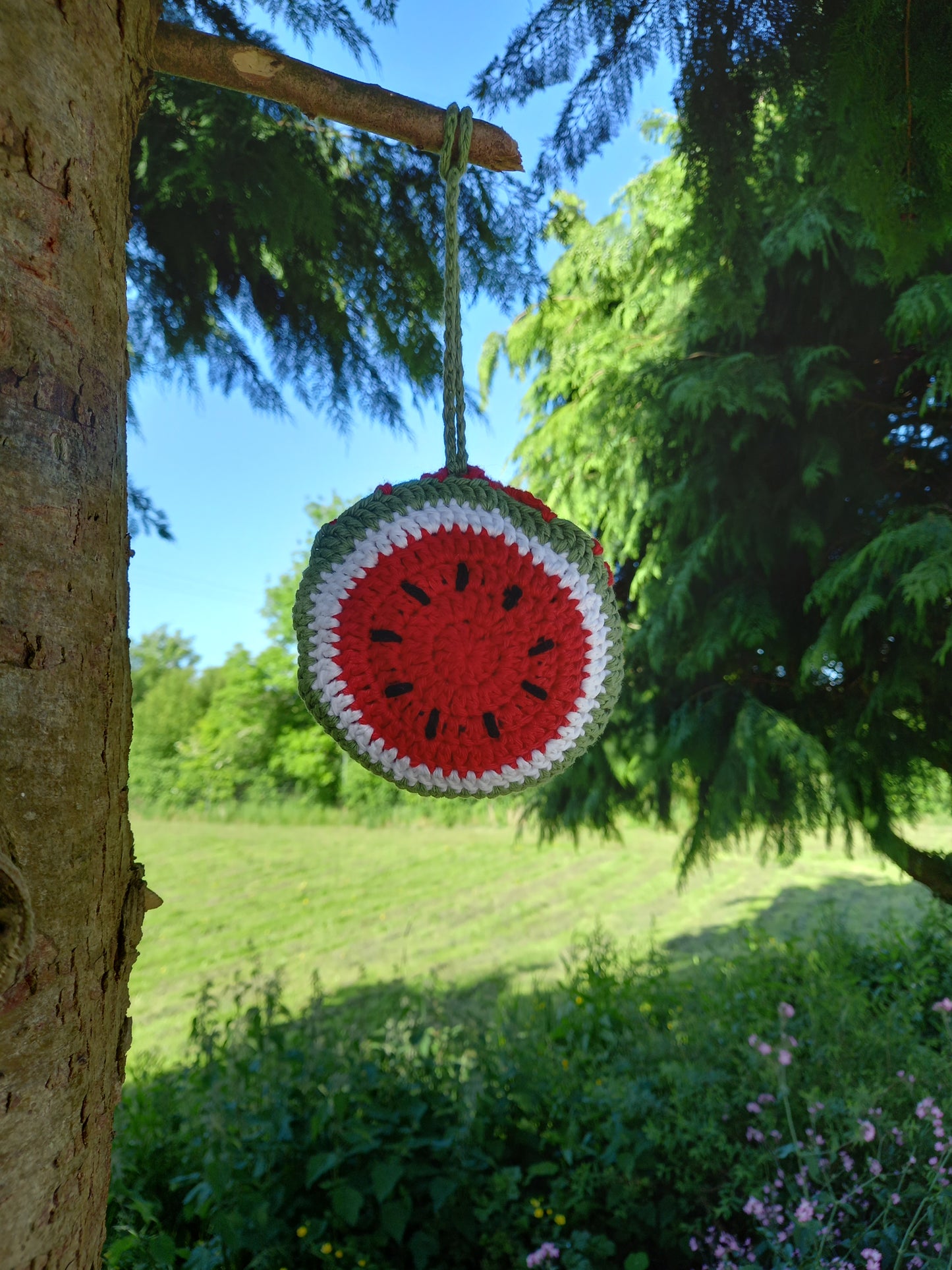 Watermelon Pouch Bag - Red